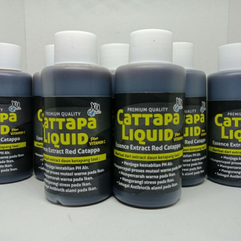 ekstrak ketapang laut premium plus vitamin C / extra ketapang 100ml