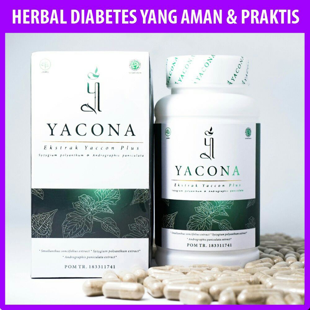 Obat Diabetes Herbal Yang Ampuh Yacona Herbal Paling Ampuh Dan Aman