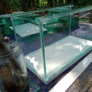 muraaaah!!? aquarium 30x15x15, aquarium gupi, soliter