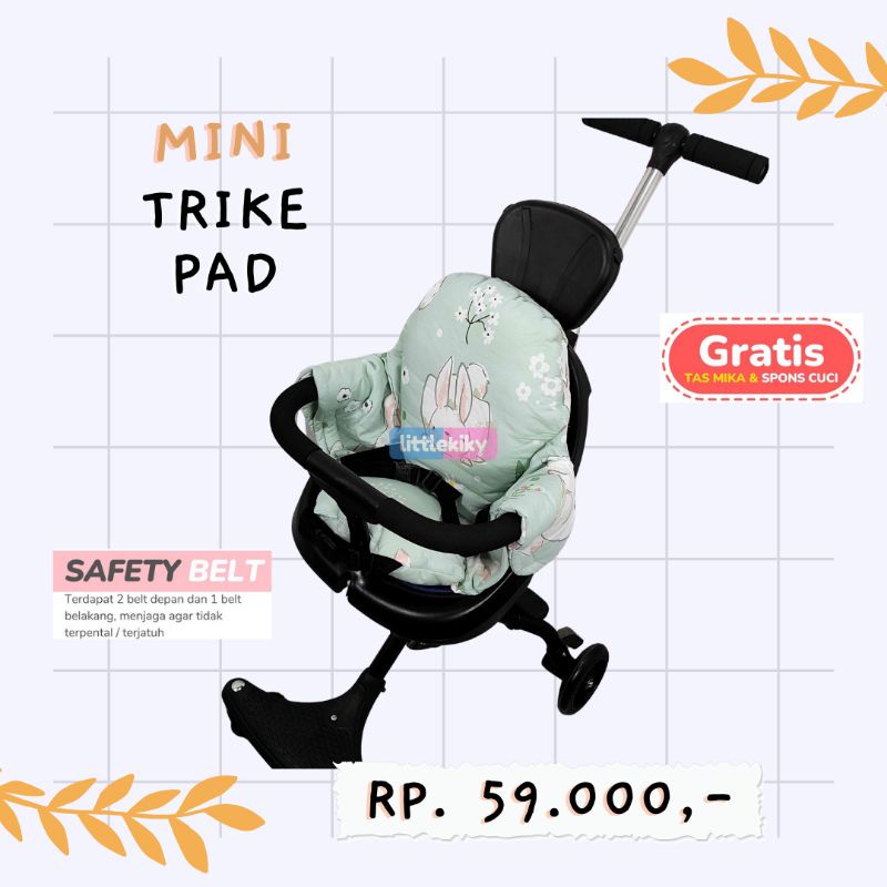 Alas Mini Trike / Alas stroller micro trike