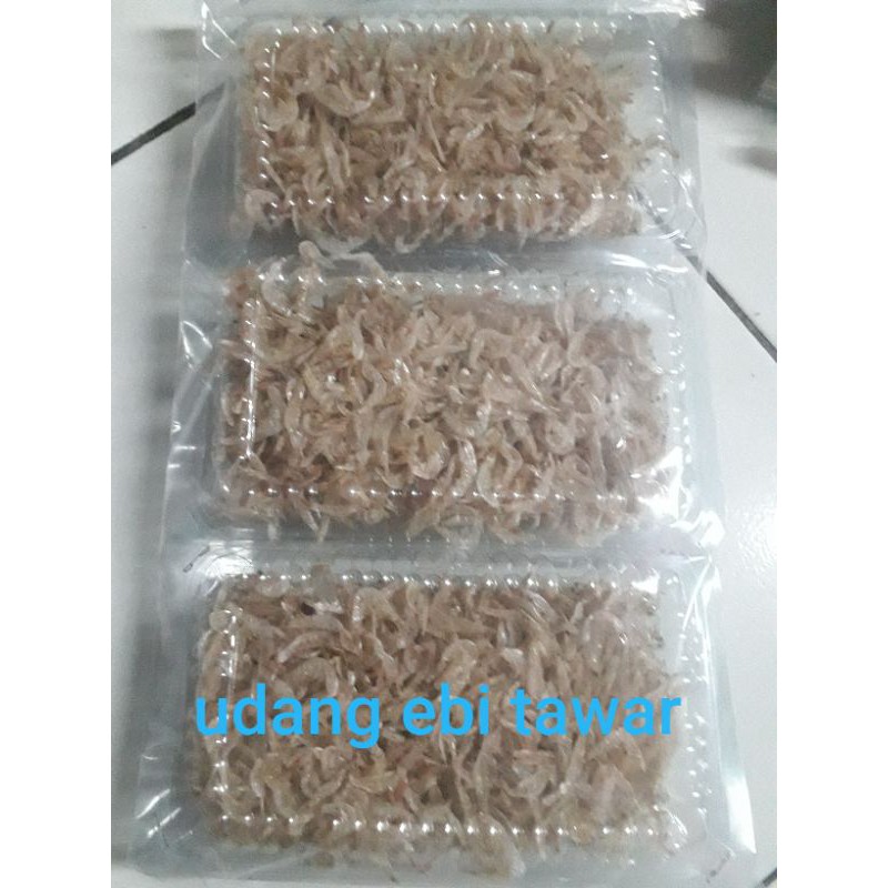 

UDANG EBI ASLI PANGANDARAN