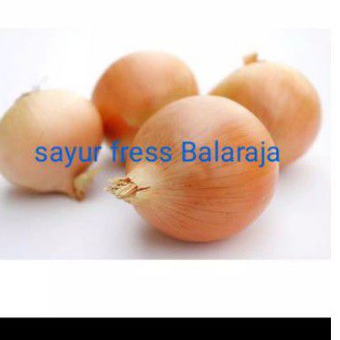 

bawang Bombay murah