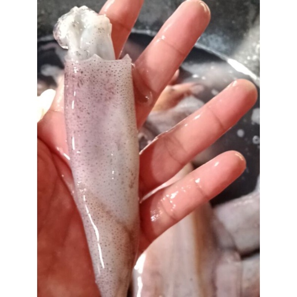 

Cumi Cumi Segar Beku 500 Gr