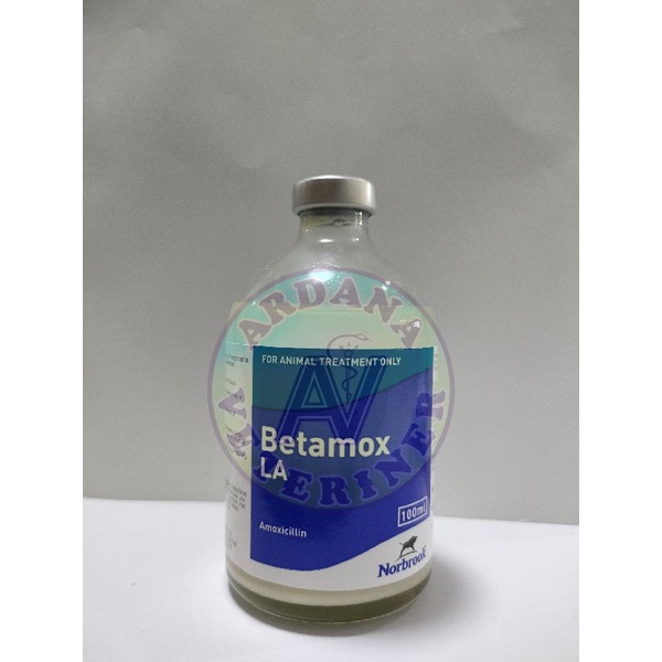 Obat Hewan Betamox LA 100 ml