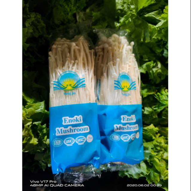 

Jamur Enoki