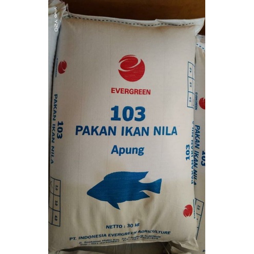 Jual PELET IKAN PREMIUM 250GRAM EVERGREEN PAKAN IKAN 103 UKURAN SEDANG