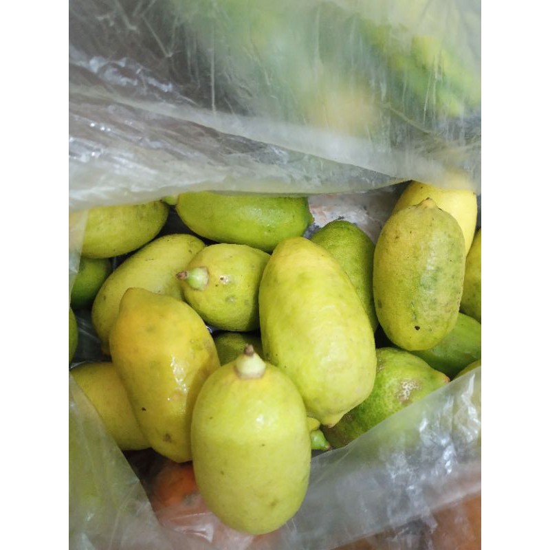 

Jeruk buaya