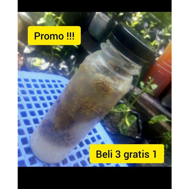 biang pupuk jakaba kemasan penuh full botol kale 250 ml