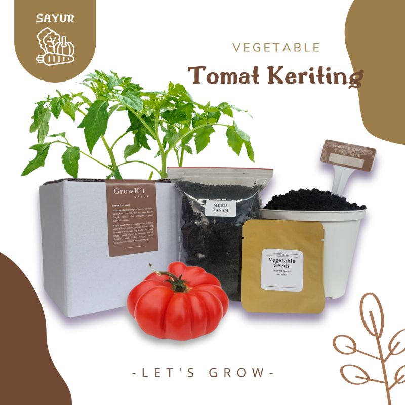 Tomat Keriting Grow Kit Sayuran Planter Kit Paket Berkebun