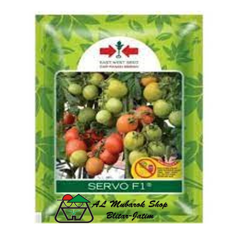 Benih Tomat Servo F1