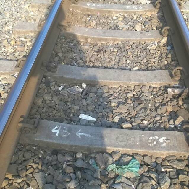 l*****t