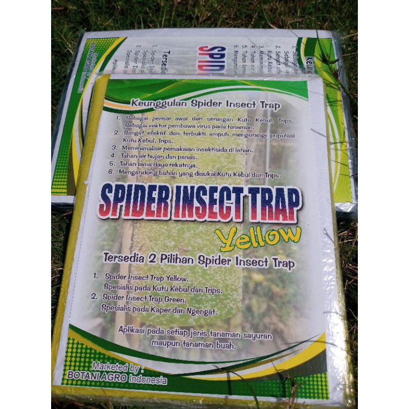 SPIDER INSECT TRAP 100 LEMBAR