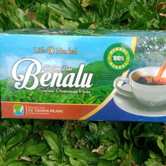 

Teh Celup DAUN BENALU LIFE A HERBAL