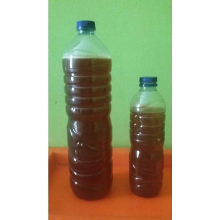 

MADU ASLI HUTAN SUMATERA