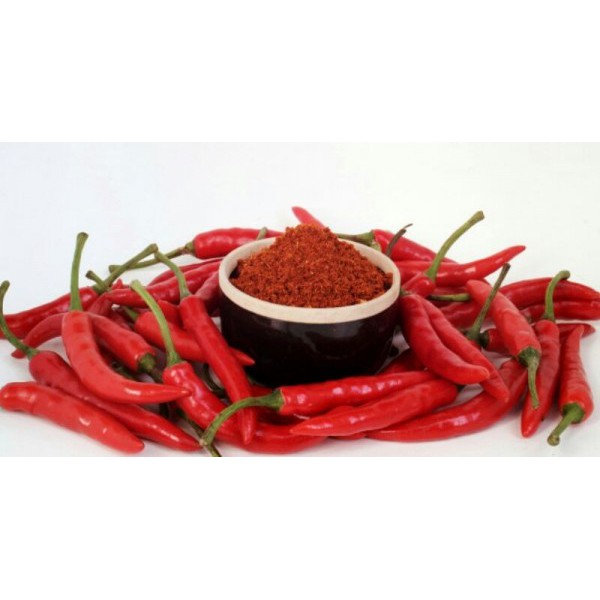 BUMBU TABUR RASA CABE PEDAS ASIN GURIH KEMASAN 100GRAM