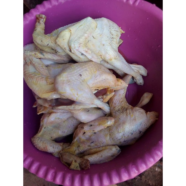 

#Karkas Ayam Kampung#ayam#ayam kampung#ayam fresh#daging ayam kampung#ayam kampung utuh#ayam jantan#ayam betina