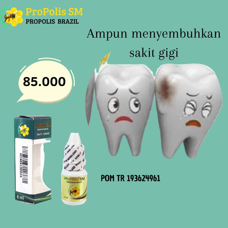Propolis SM obat sakit gigi sakit gusi nyeri gusi nyeri gigi