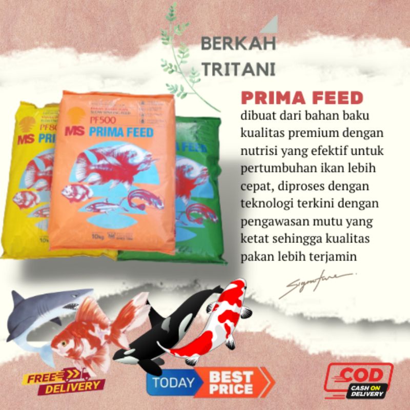 Pelet Ikan PF 500  PF 800 PF 1000 250gr Pakan Benih Ikan Pakan Guppy Pakan Cupang