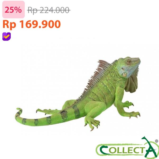 CollectA 88965 - Iguana - Animal Figure