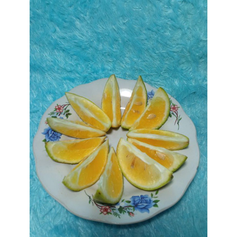 

jerukbaby/jeruk babyjava/jeruksegar/buah jeruk/buah segar