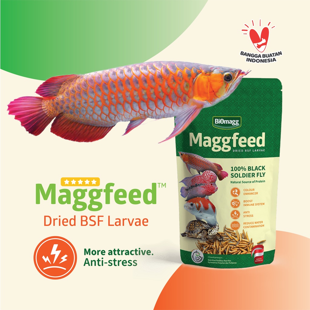 Pakan Arowana Super Red Arwana Arowana Golden Red Maggfeed beta carotane  3 pcs maggfeed