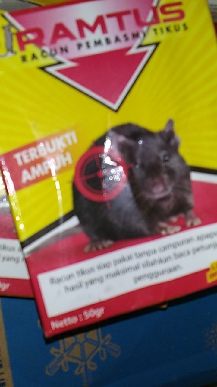 Racun Tikus Ramtus Asli Alami Mati Kering Tidak Bau Pembasmi Pengusir Tikus Super Paling Ampuh 2pack