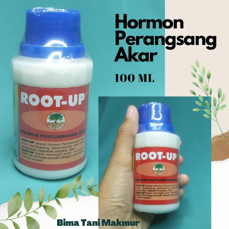 Root Up Hormon Perangsang Akar