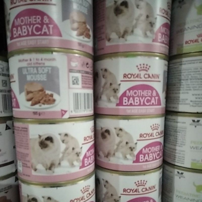 makanan basah kaleng royal canin mother and babycat 195g