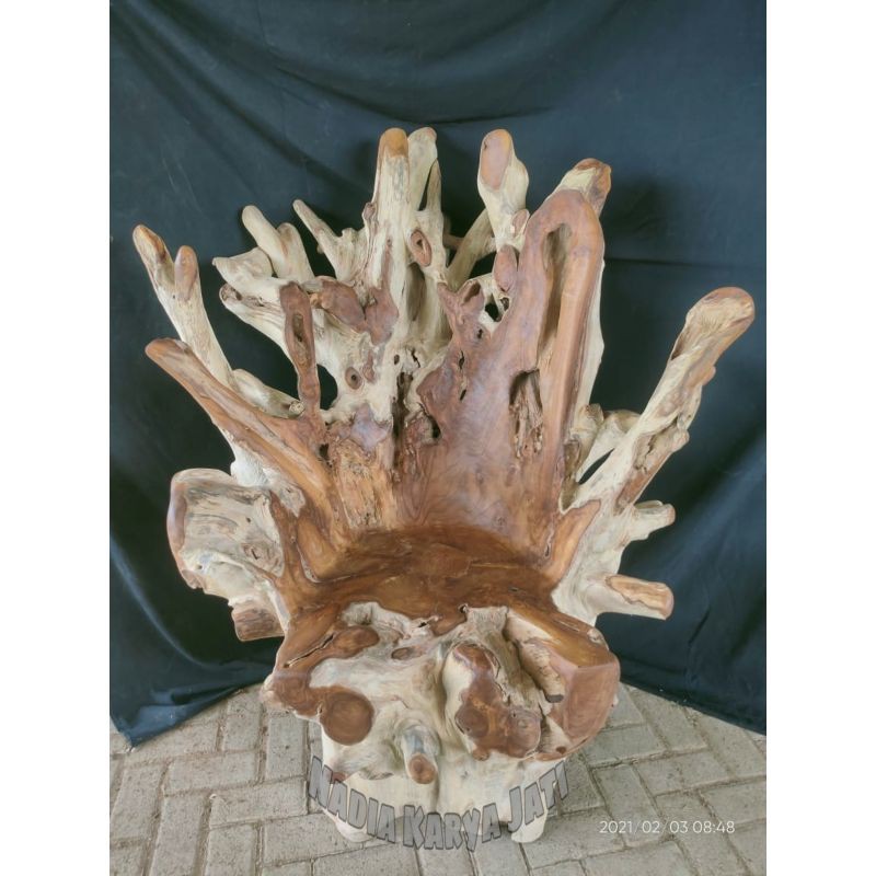 KURSI RAJA AKAR JATI