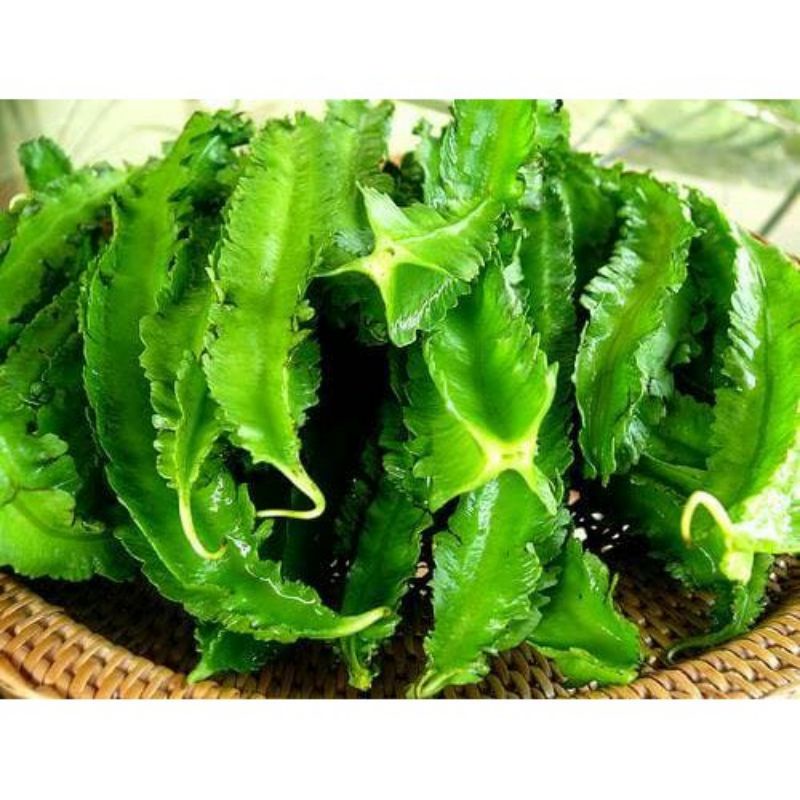 

benih biji kecipir per 50gr