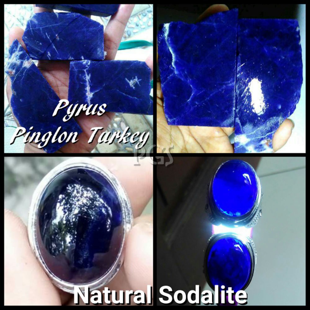 MOST WANTED !!! PIRUS PINGLON TURKI HQ BIRU ( Bahan Lebih Besar )