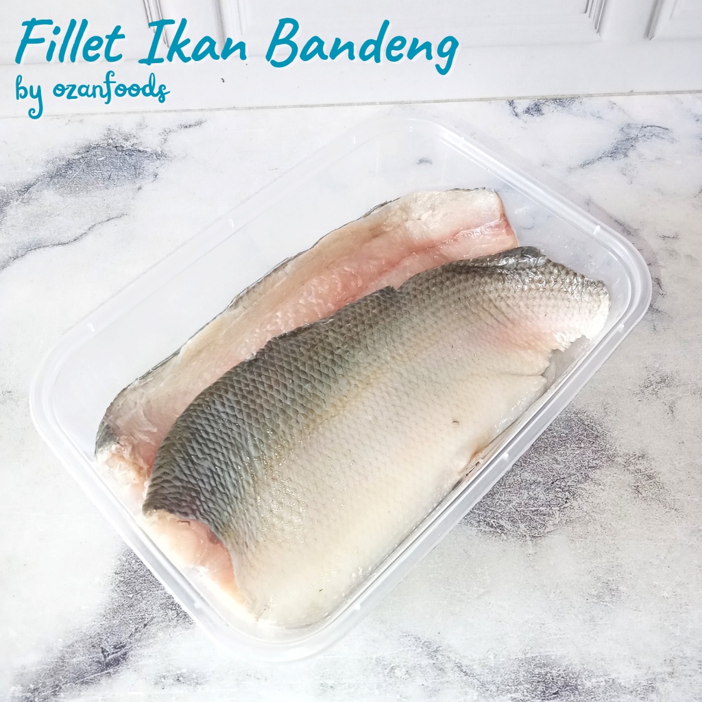 

Fillet Ikan Bandeng 1 Ekor