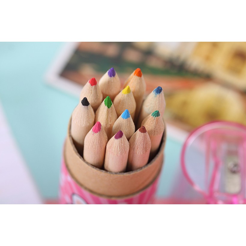 Pensil Warna Impor 12 Warna Karakter HEWAN / Pensil Warna Karakter + Rautan / Set Pensil Warna Botol