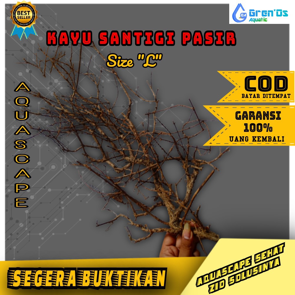 Kayu Santigi Pasir Size L  Aquarium Aquascape untuk Bonsai