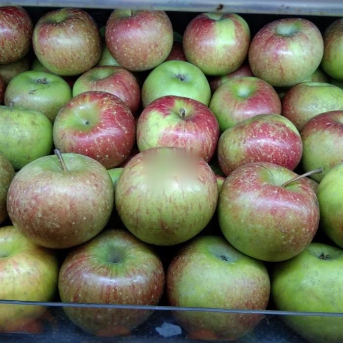 

BUAH APEL MALANG JUMBO (0,9 - 1 KG)