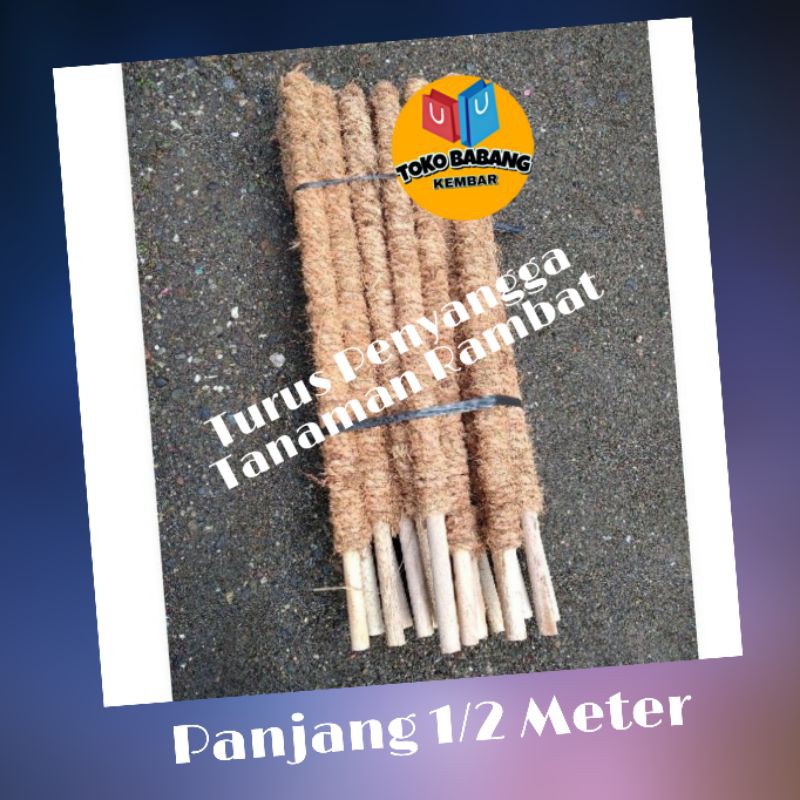 Turus penyangga Tanaman panjang 1/2 meter