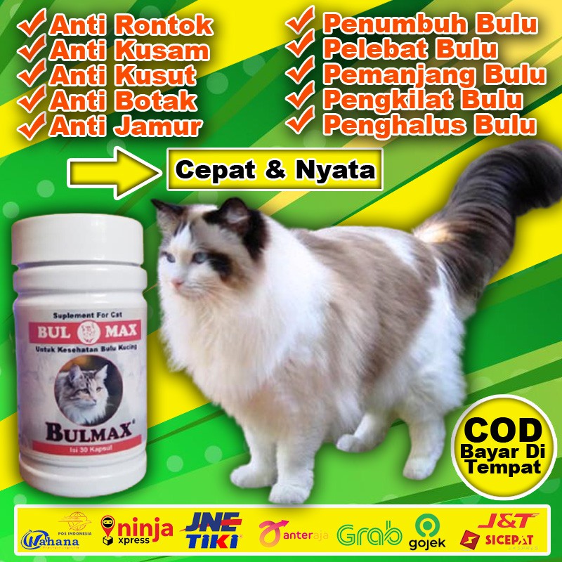 Bm12 Vitamin Bulu Rontok Kucing Pemanjang Bulu Kucing Persia Anggora Himalaya Bulu Lebat Bulmax Shopee Indonesia