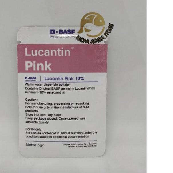 ➨ Lucantin Pink Louhan ○