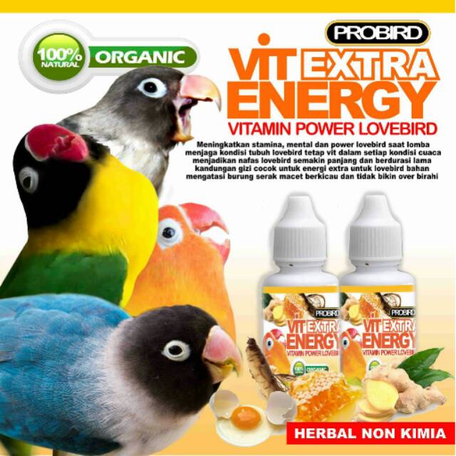 Vitamin Buat Burung Lovebird