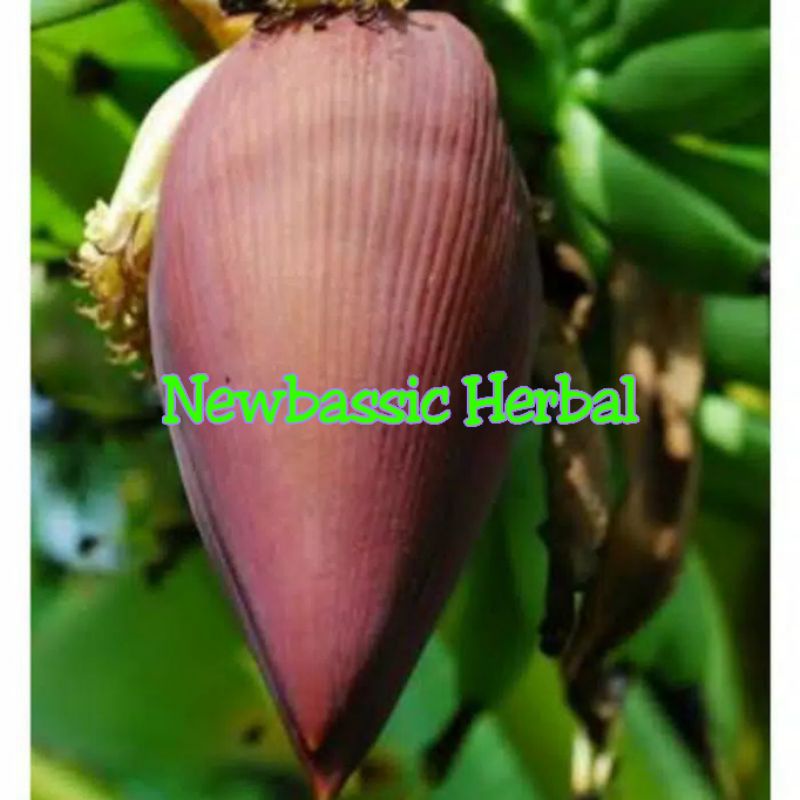 

jantung pisang ambon