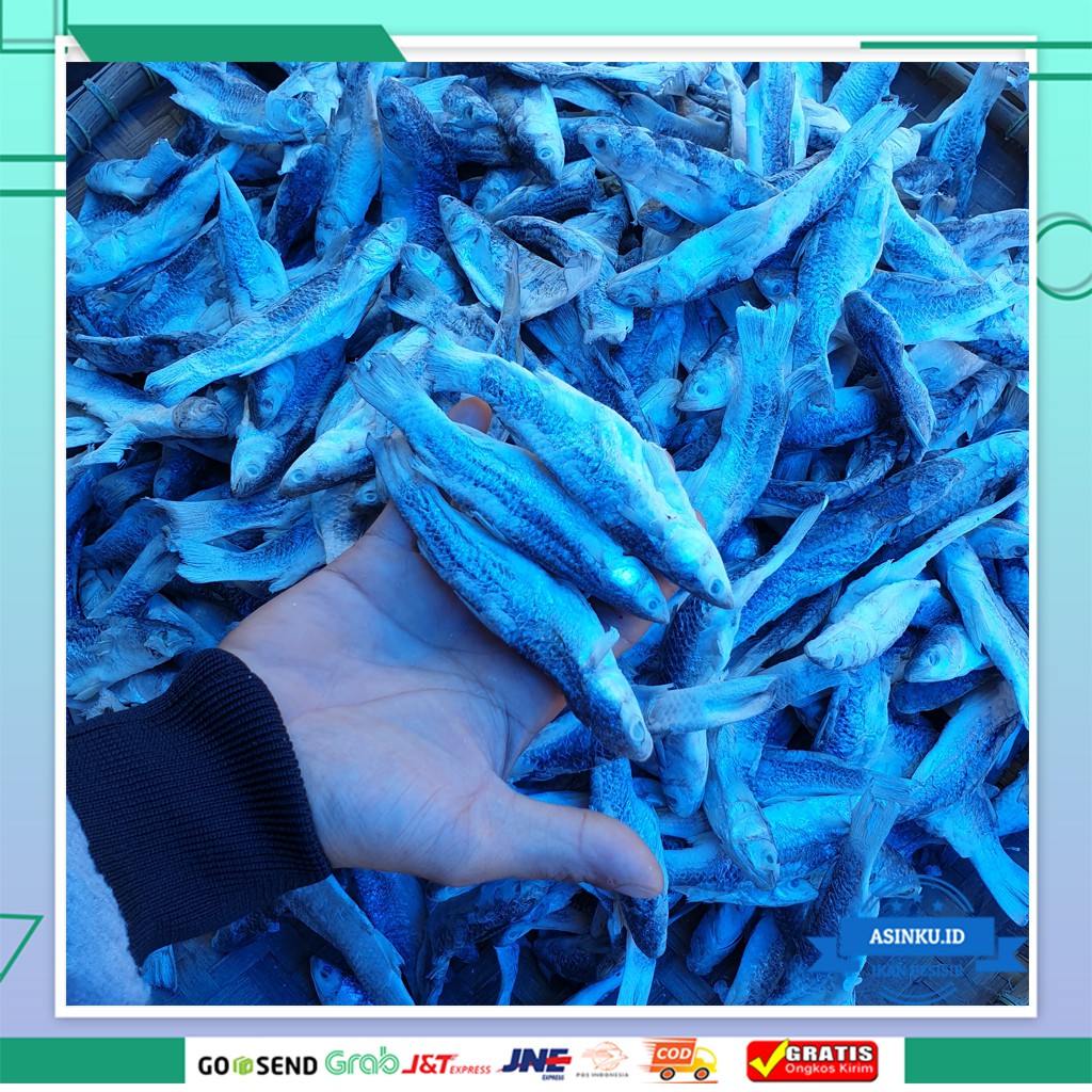 

IKAN BELANAK ASIN 1KG | IKAN ASIN KHAS MEDAN PESISIR | IKAN ASIN TERENAK TERMURAH