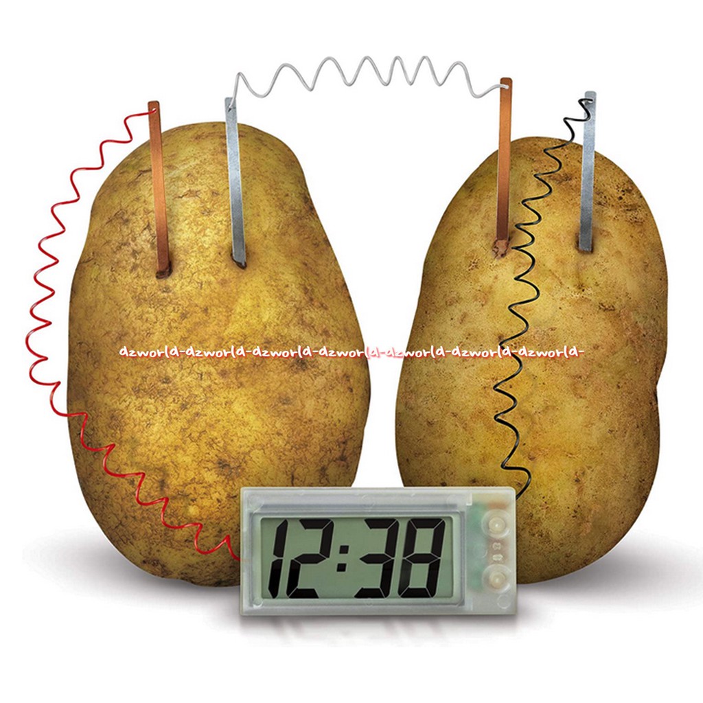 4M Green Science Potato Clock Mainan Membuat Kreasi Jam Dengan Energi Kentang