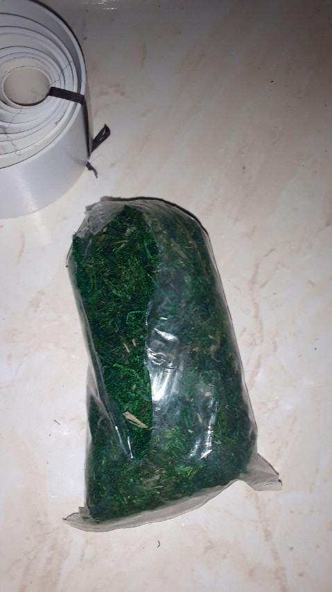 #lumut Kering/ Mos Rp 5.000/ 10 Gram