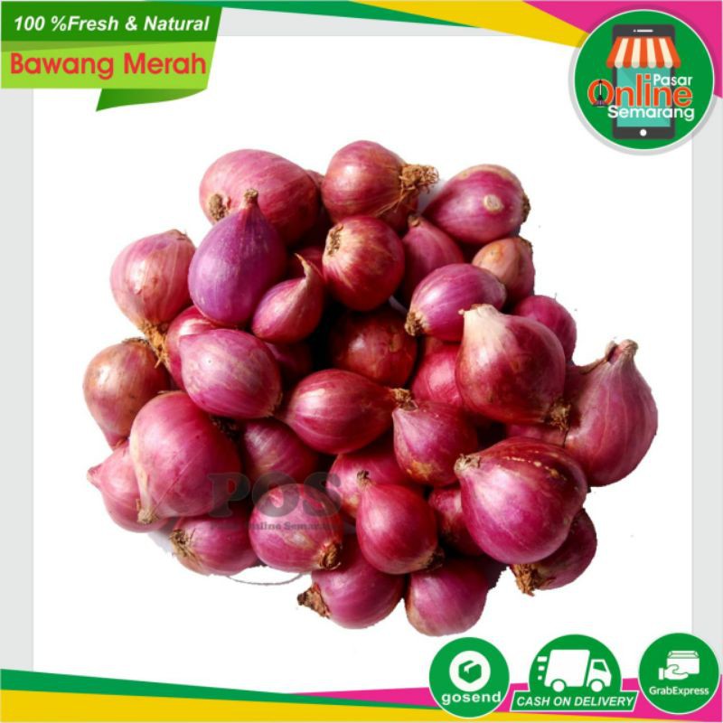 

Bawang Merah / Bawang Abang / Brambang / Bumbu Dapur/ Bumbu Masakan / Fresh / Segar / Sayur Murah