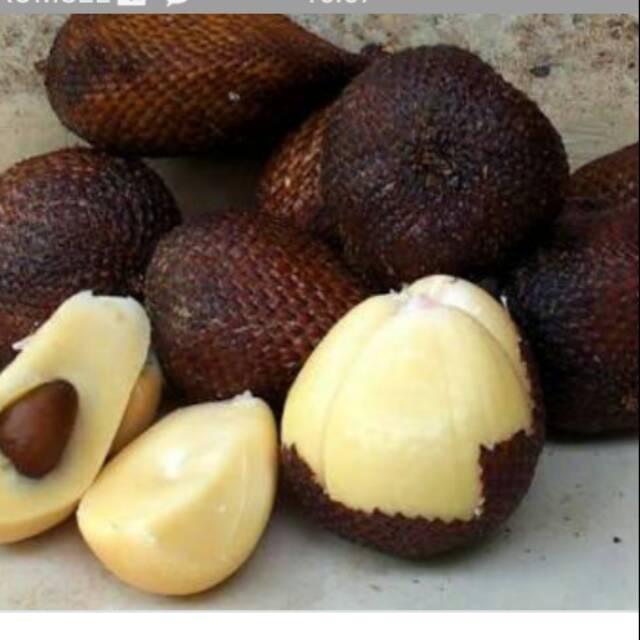 

Salak Manis Sidimpuan oleh-oleh khas sidimimpuan dijamin manis dan asli..