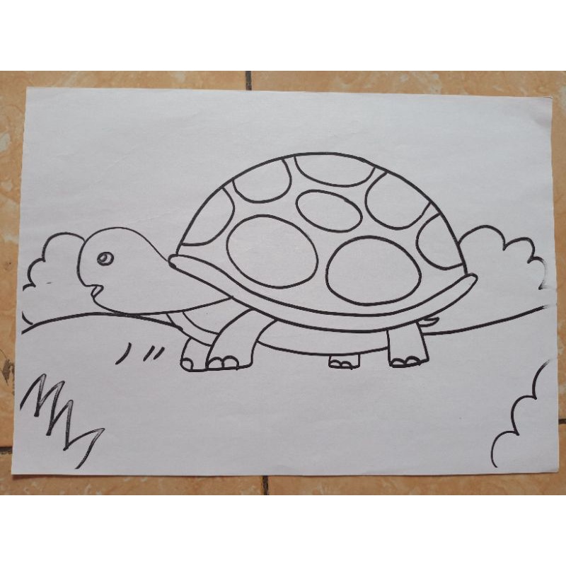 

Kertas Warna A4 Animal - Turtle