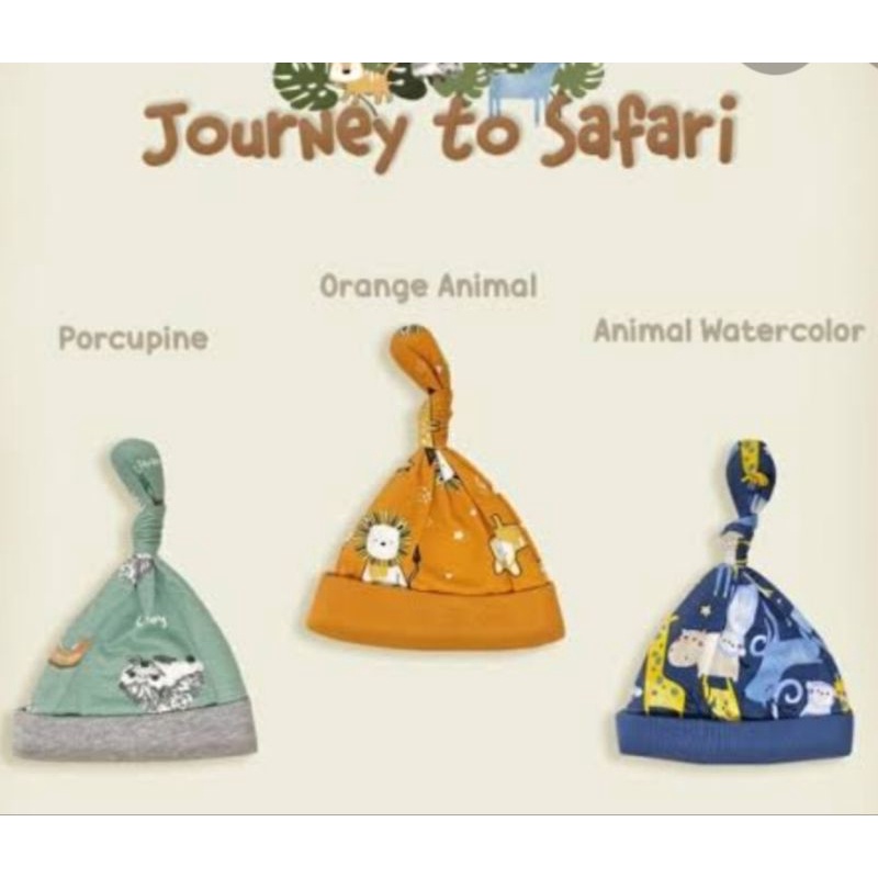 topi libby journey to safari