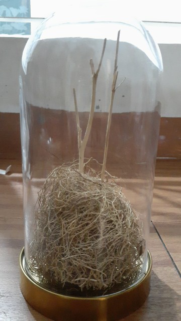 Ranting Putih Kecil Hiasan Mahar