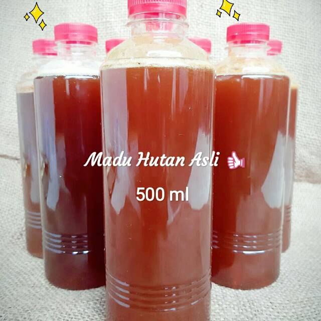 

Madu Hutan ASLI