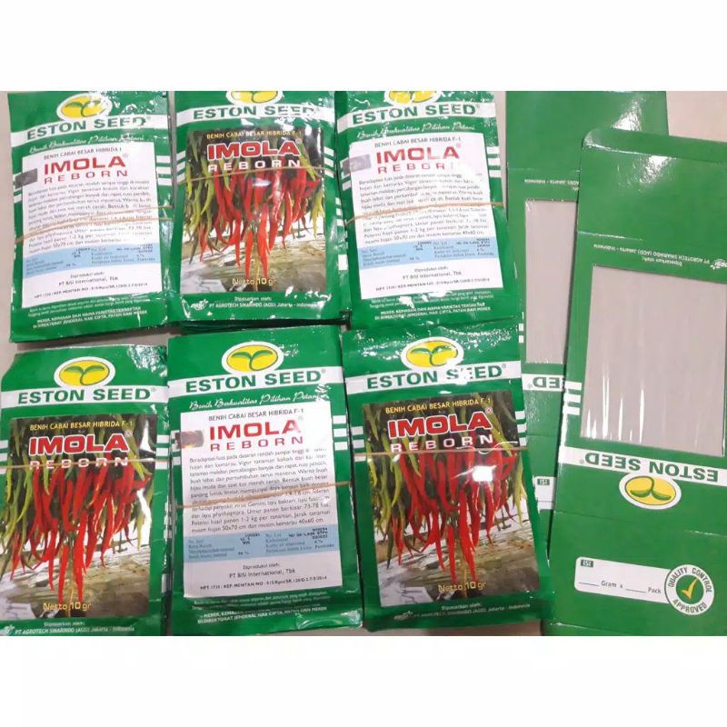 BENIH CABAI BESAR SUPER IMOLA REBORN DARI ESTON SEED